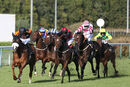 Race 8 - Raasel (3)