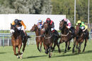 Race 8 - Raasel (5)