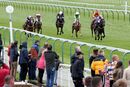 Race 8 - Sulochana (2)