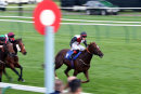 Race 8 - The Golden Cue (10)
