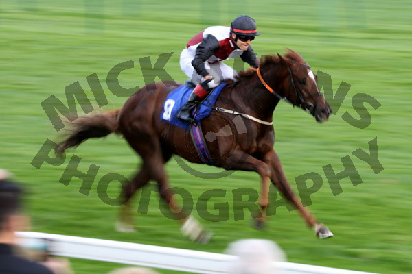Race 8 - The Golden Cue (11)