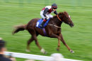 Race 8 - The Golden Cue (11)