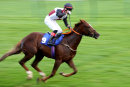 Race 8 - The Golden Cue (13)
