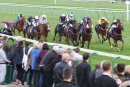 Race 8 - The Golden Cue (2)
