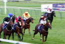 Race 8 - The Golden Cue (4)