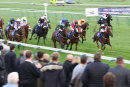 Race 8 - The Golden Cue (5)