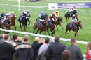 Race 8 - The Golden Cue (6)