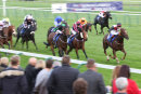 Race 8 - The Golden Cue (7)