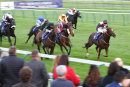 Race 8 - The Golden Cue (8)