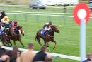 Race 8 - The Golden Cue (9)