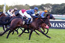 Race 8 - The Nu Form Way (11)