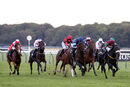 Race 8 - The Nu Form Way (2)