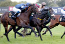 Race 8 - The Nu Form Way (4)