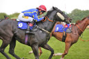Race 8 - Thornaby Nash (2)