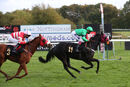 Race 8 - Tilsworth Rose (10)