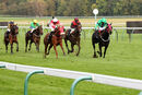 Race 8 - Tilsworth Rose (2)