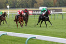 Race 8 - Tilsworth Rose (3)