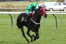 Race 8 - Tilsworth Rose (4)