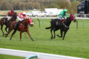 Race 8 - Tilsworth Rose (5)