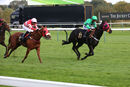 Race 8 - Tilsworth Rose (6)