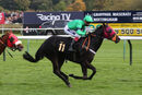 Race 8 - Tilsworth Rose (8)