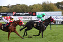 Race 8 - Tilsworth Rose (9)