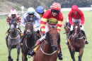 Race 8 - Tingo In The Tale (10)
