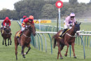 Race 8 - Tingo In The Tale (12)