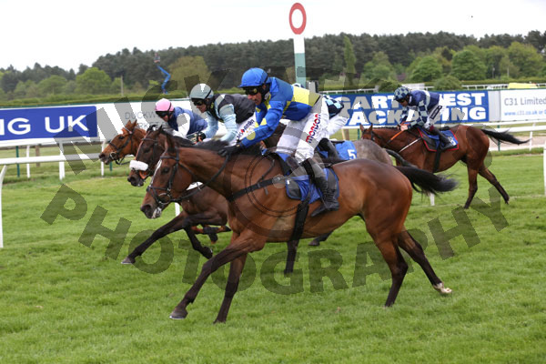 Race 8 - Tokay Dokey (8)