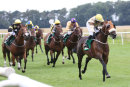 Race 8 - Whipphound (5)