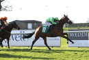 Race 8 - Zig Zag (3)