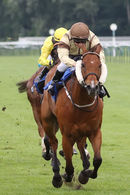 Race 8 (2) - Tadaany