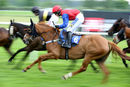 Race 8 (3) - Lamh Ar Lamh