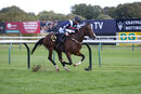 Race 9 - Bad Company (10)