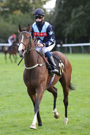 Race 9 - Bad Company (14)