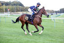 Race 9 - Bad Company (1)