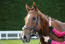 Race 9 - Balancing Act (10)