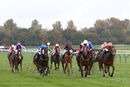 Race 9 - Balancing Act (2)