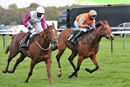 Race 9 - Balancing Act (9)