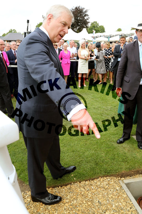 YORK Duke Of (8)