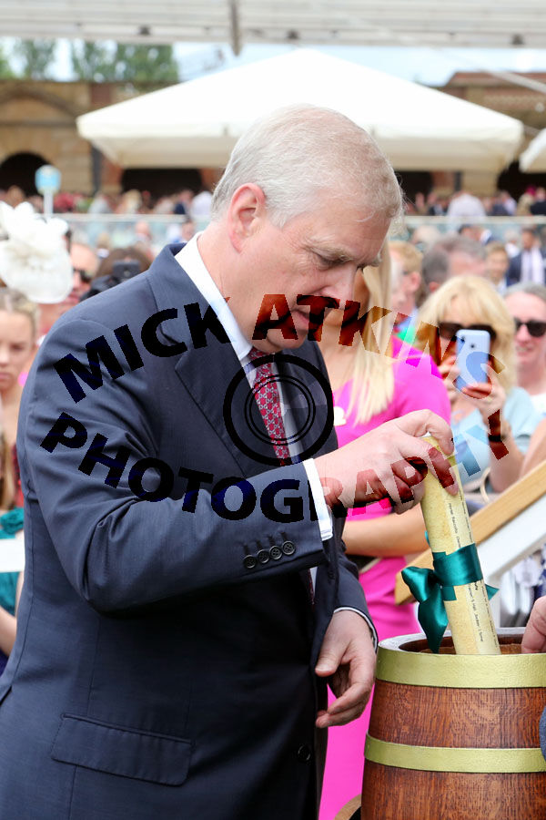 YORK Duke Of (5)