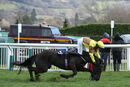 Galopin Des Champs & Paul Townend (3)