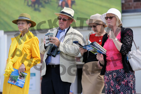 140711 York Race 3 (1)