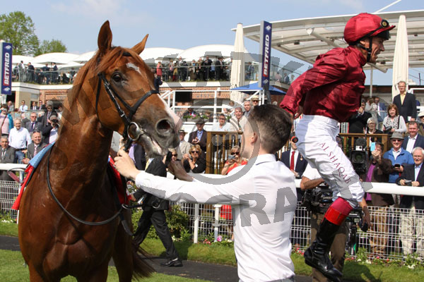 DETTORI Frankie (12)