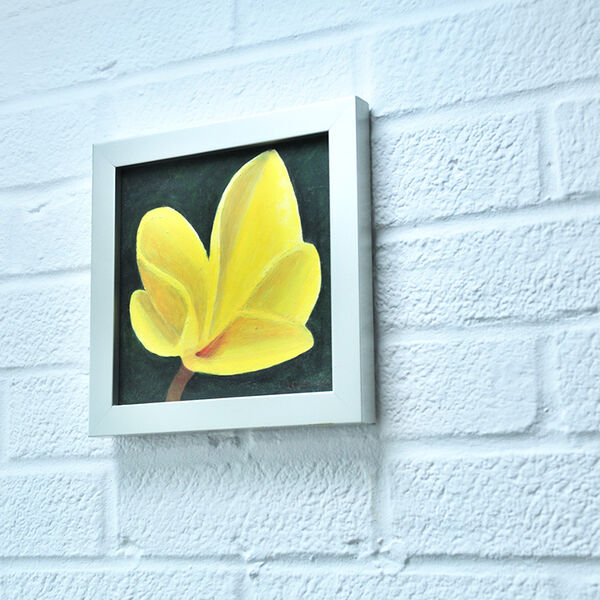 'Plumeria Rubra' Framed
