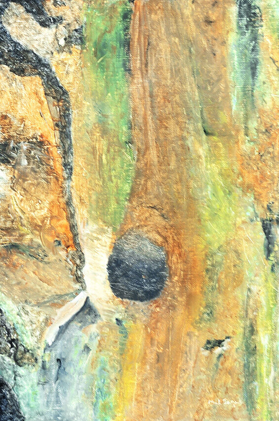 Tree Surgery