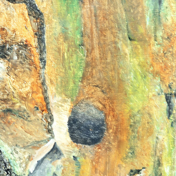 Tree Surgery