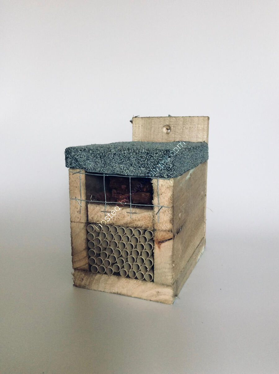 Bee & Bug house