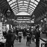 The Old Apple Market