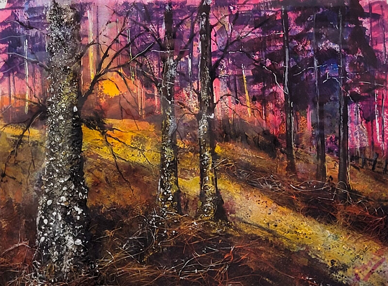 Forest "Glade"